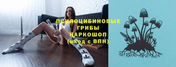 прущая мука Богородск