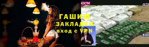 гидра Богданович