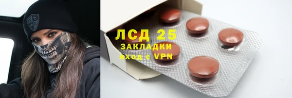 гидра Богданович