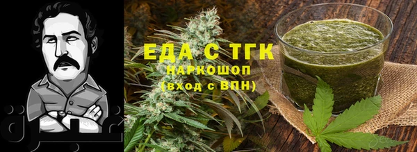 гидра Богданович