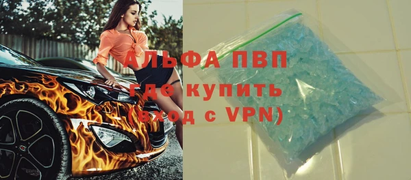 гидра Богданович
