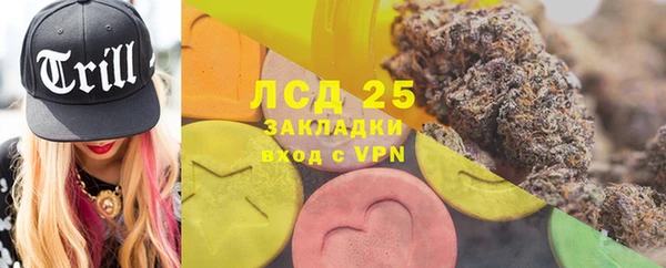 гидра Богданович