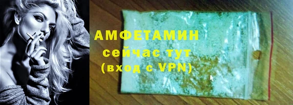гидра Богданович