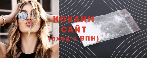 гидра Богданович